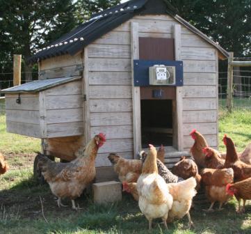 HenSafe Mounting Option 2 for coops with limited headroom above the door